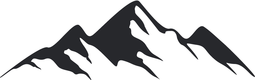 Vector (2)